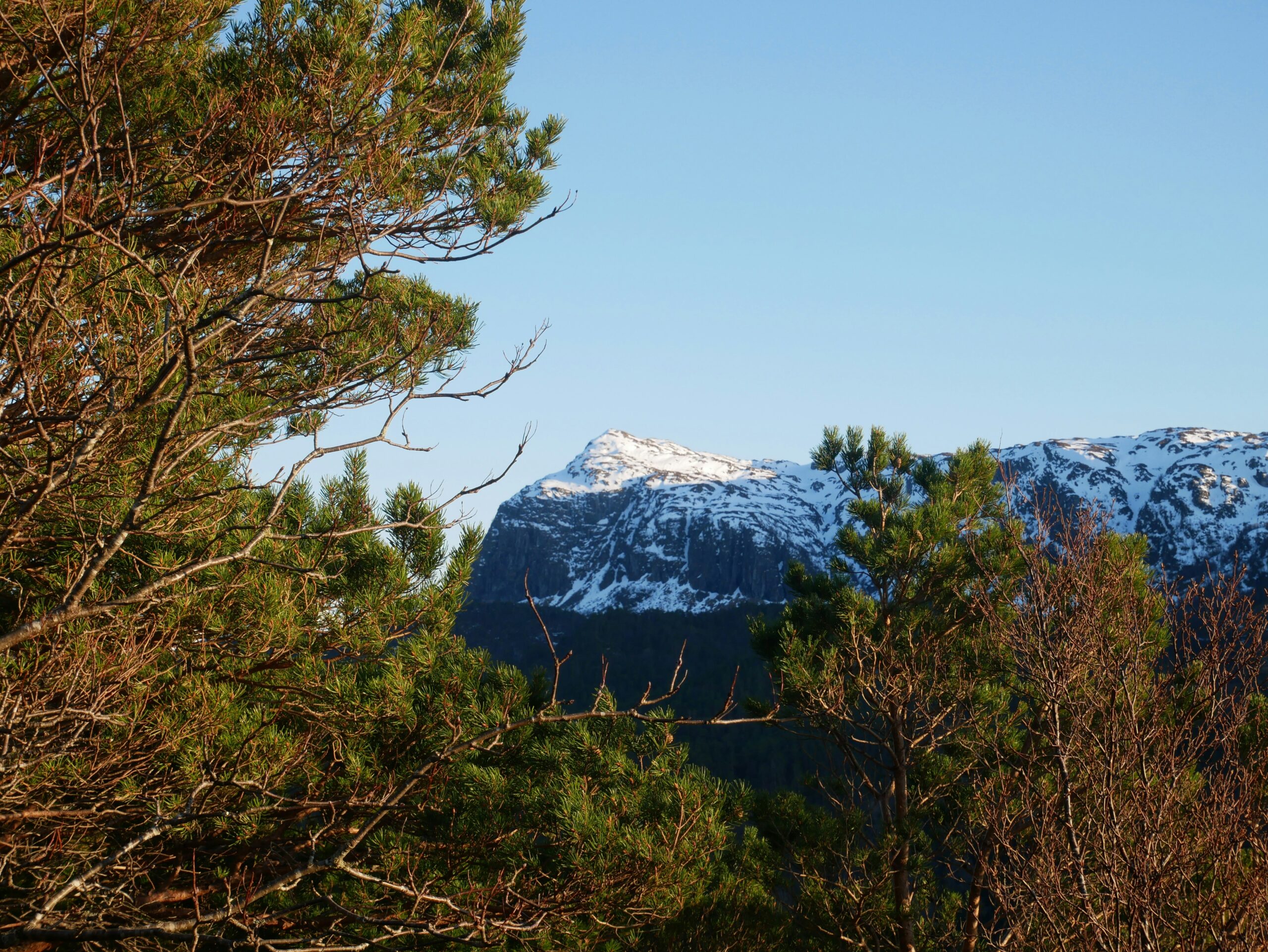 jakob-G2iuqjtQXvA-unsplash Bilde av Tysnes